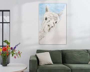 The curious alpaca (sweet watercolor painting charcoal animals llama nursery petting zoo by Natalie Bruns