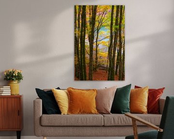 Irati colours by Lars van de Goor