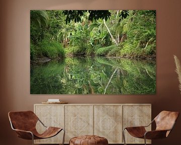 Mangrove Damas Island Costa Rica by Ralph van Leuveren
