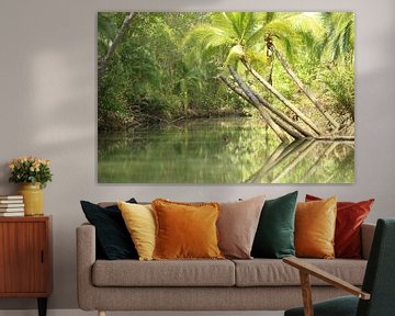 Mangrove de l'île de Damas Costa Rica sur Ralph van Leuveren