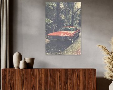 Ford Mustang van Wolbert Erich