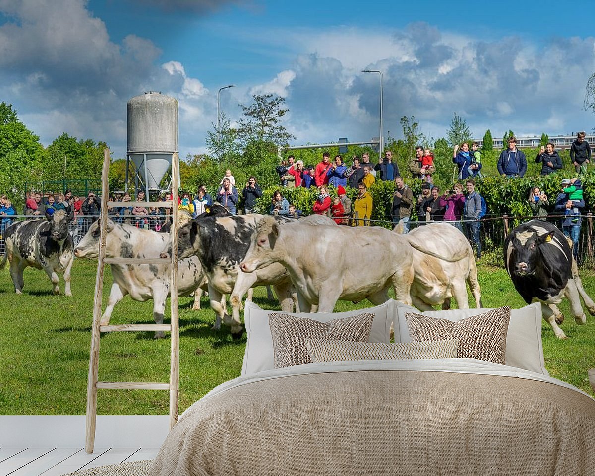 Raumvorschau