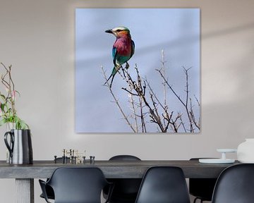 Gabelracke von Poster Art Shop