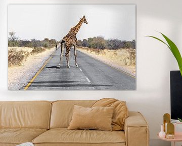 Giraffe auf Strasse van Poster Art Shop