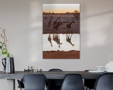 Giraffen van Poster Art Shop