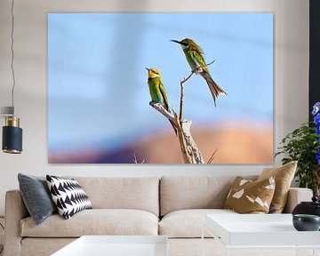 Bienenfresser by Poster Art Shop