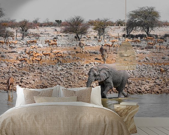 Aperçu de la chambre