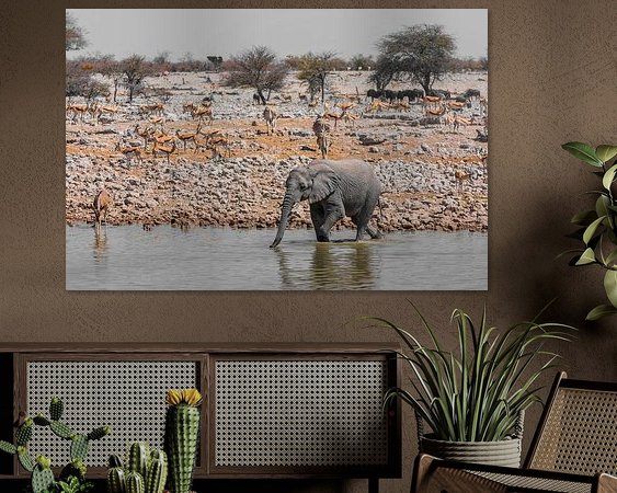 Aperçu de la chambre