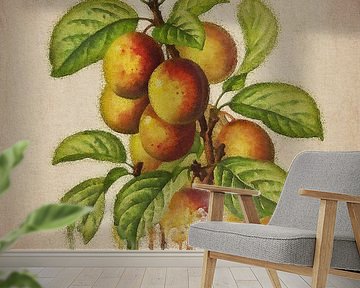 Plums - Antique drawing of Plums by Jan Keteleer