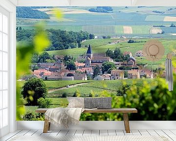 Frankreich - Champagne / Ville-Dommange