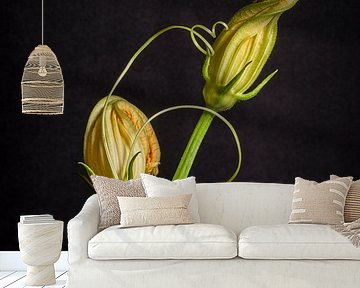 Still Life Zucchini Flower by Monique van Velzen
