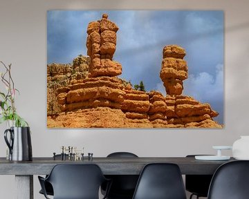 Bryce Canyon ansicht mit zwei bunten Säulen von Jan van Dasler