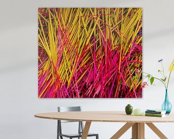 Wierook in rood en geel