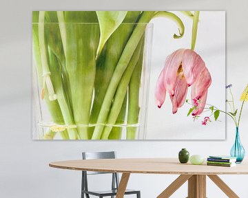 Tulp (hangend) van Rob van der Pijll