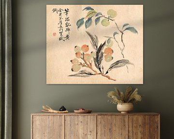 Tsubaki Chinzan.Loquat-Baum von Japan