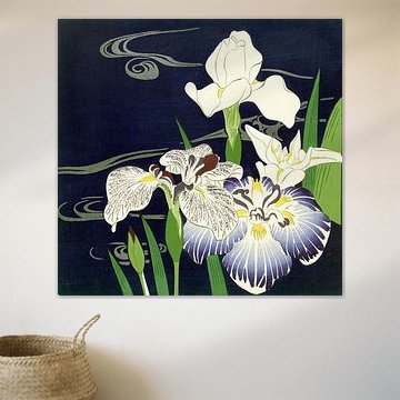 Iris, Tsukioka Kogyo