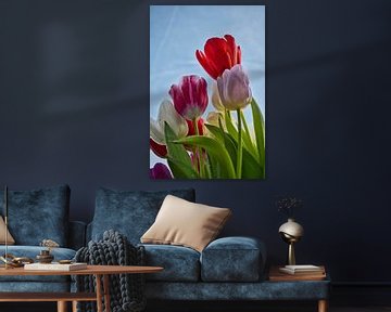 Tulpen, kikkerperspectief van Mirjam Van Houten