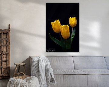 Gele tulpen van Mirjam Van Houten