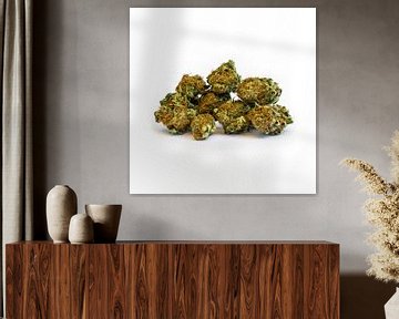 Cannabis Weed Marijuana Blossom by Felix Brönnimann