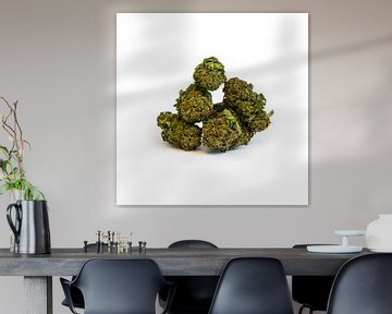 CBD Cannabis Weed Marihuana Blüte von Felix Brönnimann