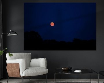 Orange moon by Jeroen Götz