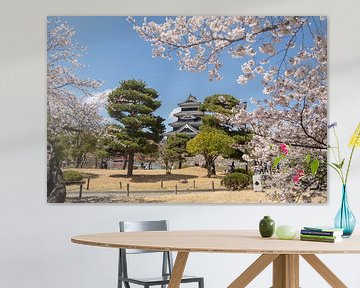 Matsumoto Castle by Marcel Alsemgeest