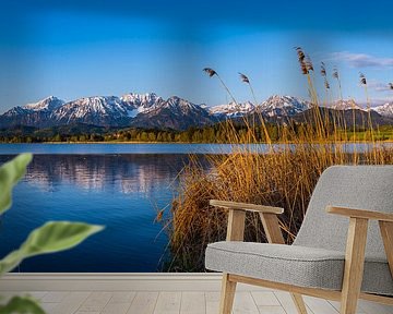 Hopfensee van Walter G. Allgöwer