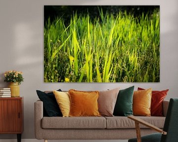 Grass on a hot summer day by Marcel Alsemgeest