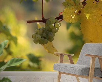 Weiße Rebsorte aus dem Saarburger Weinhain von Ralph van Leuveren