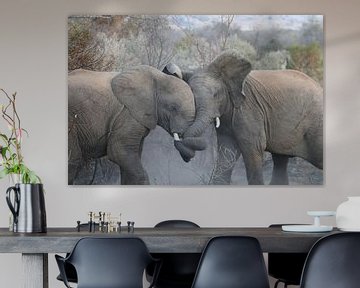 Vechtende olifanten Pilanesberg National Parc Zuid Afrika van Ralph van Leuveren