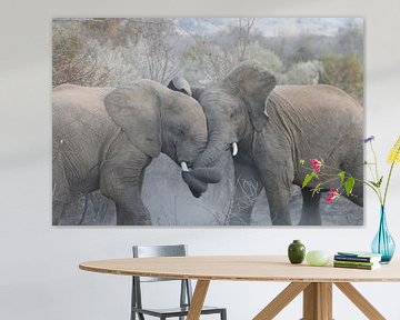 Kämpfende Elefanten in Nationalpark Südafrika Pilanesberg von Ralph van Leuveren