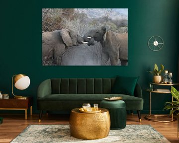 Vechtende olifanten in Pilanesberg National Parc Zuid Afrika van Ralph van Leuveren