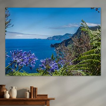 Bloemrijk zicht op de Oceaan ( Madeira)