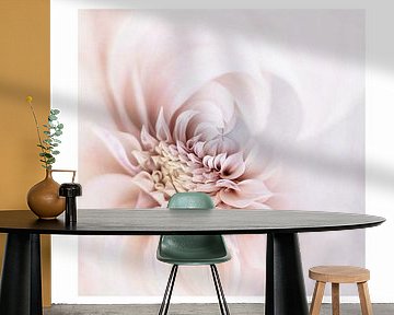 Dahlia Twirl by Marina de Wit