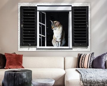 Window view - Siamese cat by Christine Nöhmeier