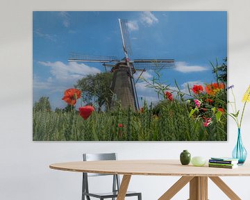 Molen tussen veldbloemen sur Moetwil en van Dijk - Fotografie