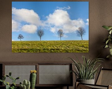 Bäume mit Sommerwolken bei Engenhahn van Christian Müringer