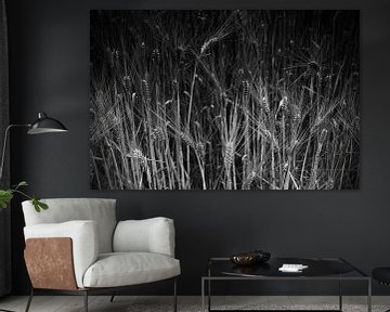 Wheat in Black White by Jan Brons