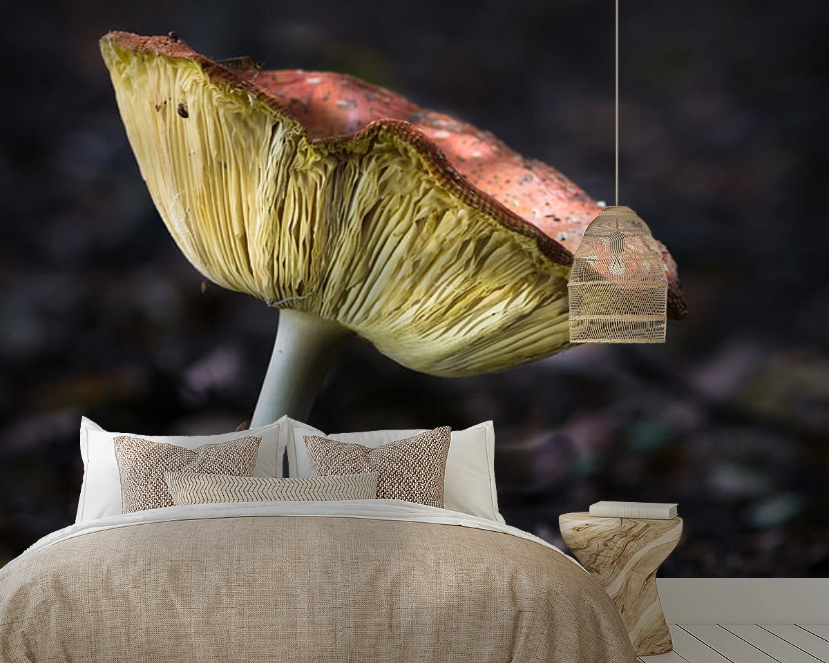 Raumvorschau