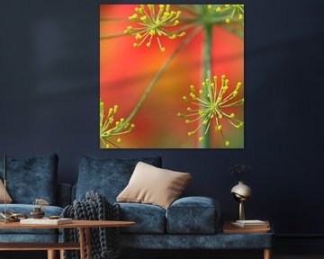 Yellow dill above the red dahlia flowers by Daan Hartog