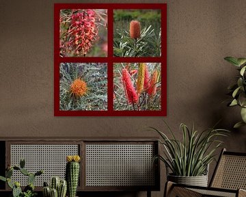 Collage van Australische Proteaceae bloemen van Ines Porada