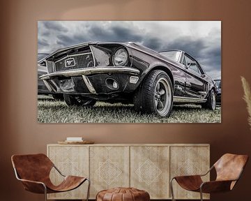 Ford Mustang,The Beast van Ans Bastiaanssen