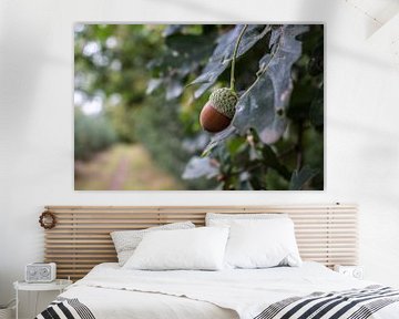 Acorn on the tree von Melissa Wellens