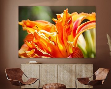 Oranje bloem van Suzanne de Jong