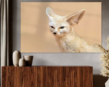 Fennec portrait von AGAMI Photo Agency