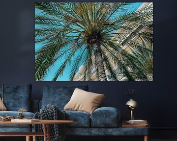 Find me under the palmtrees