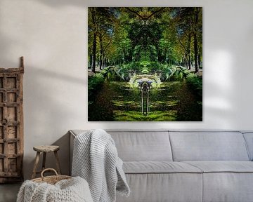 Magical forest by Lavierenphotography Mirrorworks