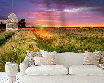 Sunset over a barley field by Ellen van den Doel