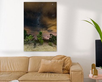 Milky Way over fynbos van Andreas Jansen