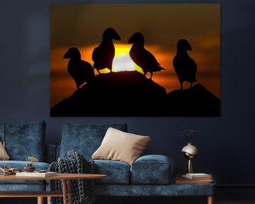 Four Atlantic Puffins against setting sun. by AGAMI Photo Agency